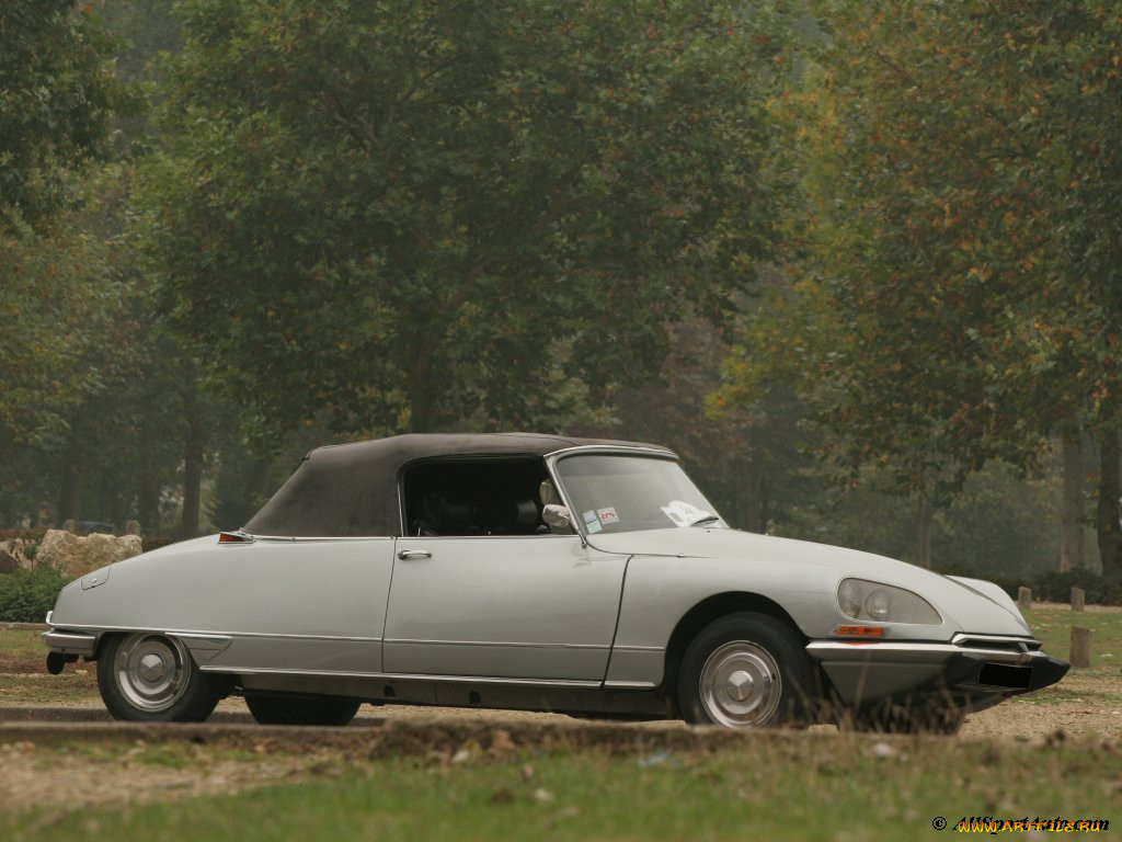 , citroen